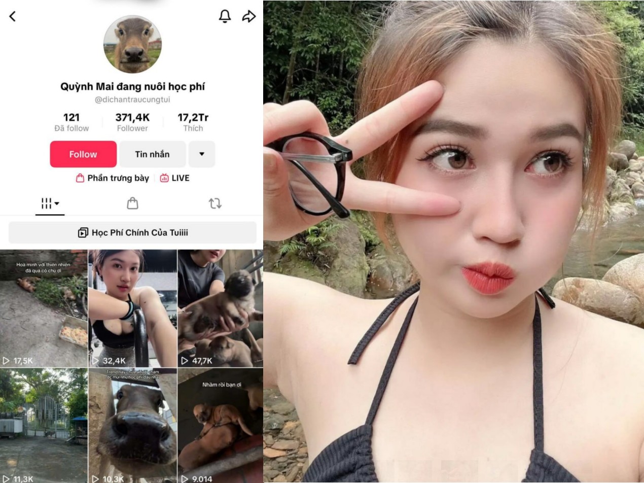 Poster of Quỳnh Mai nữ gymer thích đụ anh PT